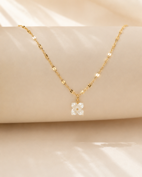 COLLIER ANNA
